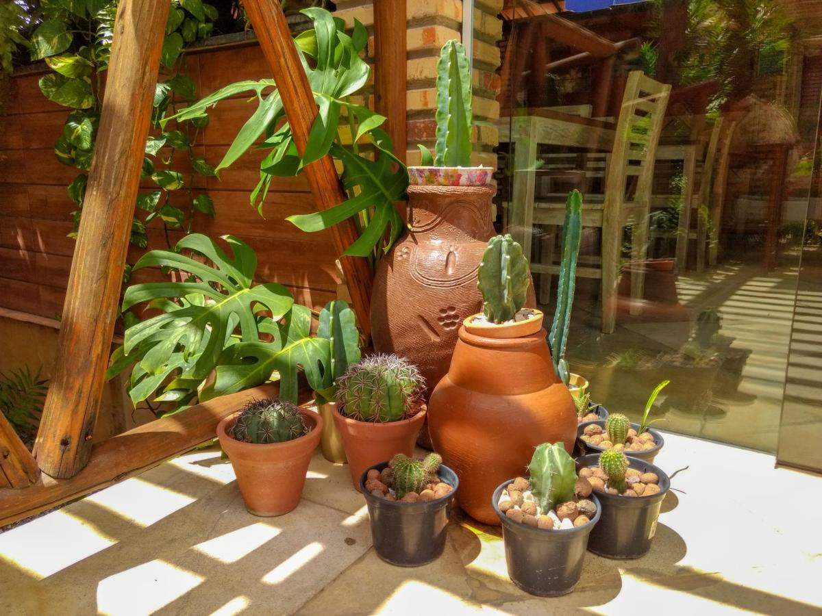 Jardim dos Orixás Hotel Canoa Quebrada Exterior foto